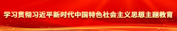 老板轻点艹小说学习贯彻习近平新时代中国特色社会主义思想主题教育